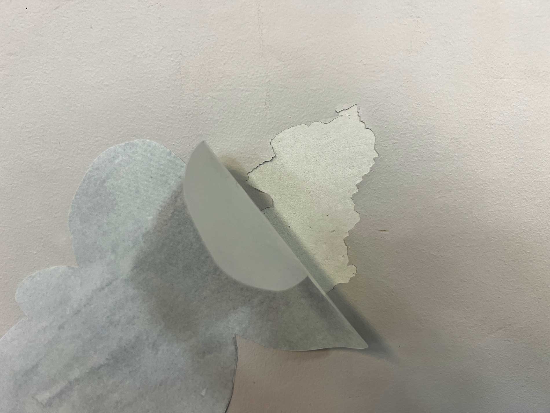 Wall Decals Vs Wall Stickers Jack Harry and Ollie