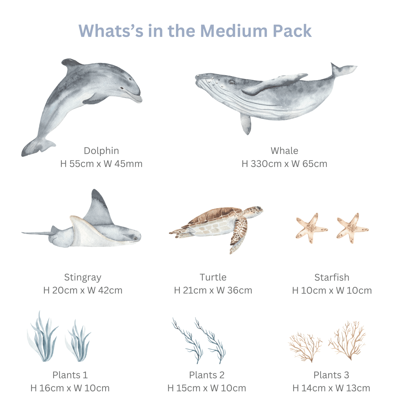 Ocean Animals Wall Decals - Jack Harry and Ollie